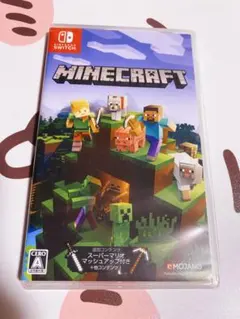 minecraft switch ソフト