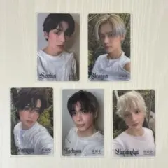 [TXT] Starkissd ユニバ 特典 クリアフォトカード コンプ