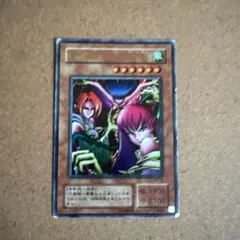 遊戯王 ハーピィ・レディ三姉妹
