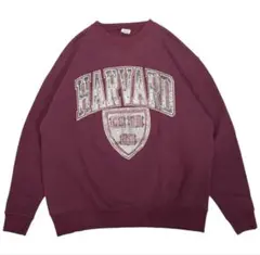 Champion HARVARD College Print Sweat XL