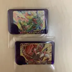 ポケモンフレンダピック　カミツオロチ グラードン 2枚セット
