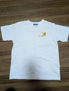 ディズニー　ティンカーベル　Tシャツ　110-120cm
