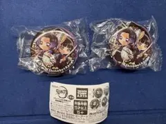 鬼滅の刃 ぴた！でふぉるめ 無限城編 缶バッジ 胡蝶しのぶ　栗花落カナヲ　2個
