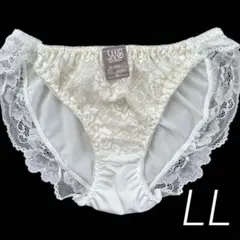 白　刺繍　トリコットショーツ　パンティー　スキャンティ　1枚　大きいサイズ