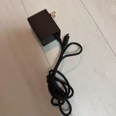 Nintendo Switch USB-C ACアダプター