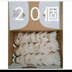 Item thumbnail for item 89a6482c-1c3a-40f5-bc9c-2a440de870bd