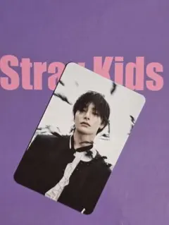 StrayKids DOIT PLATFORM l.N