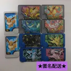 ポケモンフレンダワンダーピックイーブイフルコンプリート