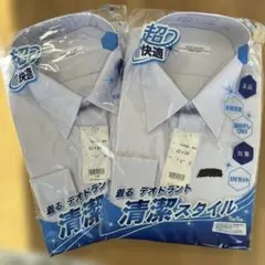 Item thumbnail for item ce5ecd4c-b0b6-4586-973c-b1f1948b4e78