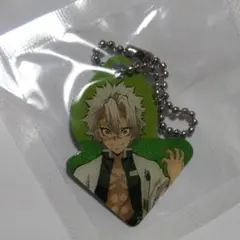 鬼滅の刃 劇場版無限城 メタルチャーム メダルコレクション 不死川弥実