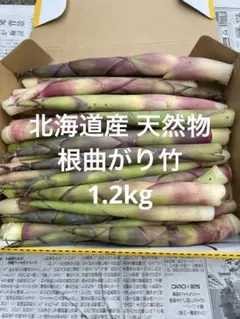 毎年大好評！随時発送！ 北海道産 山菜 たけの 姫竹 根曲がり竹 - メルカリ