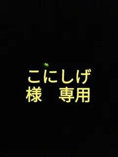 こにしげ様　専用セット