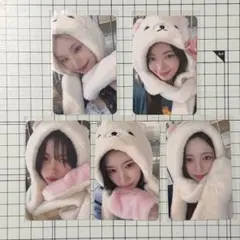 ITZY Motto withmuu コリラックマ トレカ ヨントン 5枚 - メルカリ