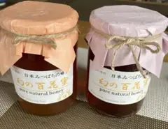 ハチミツ 日本蜜蜂の蜂蜜 巣箱違いの花粉入りはちみつ 奥山の奥 2026