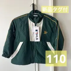 Item thumbnail for item 1523089b-f8fc-46b6-80ab-c1c1ec5c5d34