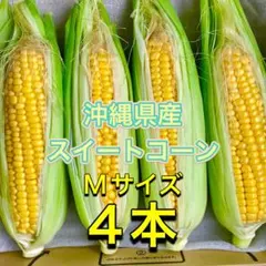 糖度20度 沖縄県久米島産 白いとうもろこし スイートコーン 訳あり品