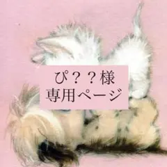 ぴ？？様 専用ページ