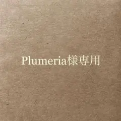 Plumeria様 リクエスト 6点 まとめ商品