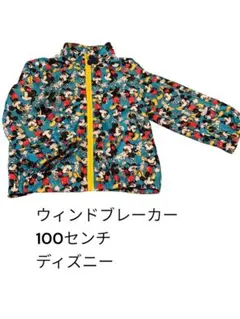 ウィンドブレーカー　ディズニー　100センチ　男の子