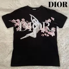 Item thumbnail for item c8b611dd-db30-48f8-a0e7-3a3228777f9c