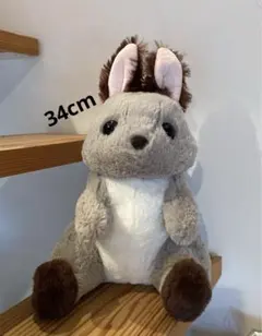 Item thumbnail for item 3498f0d0-41ab-4921-b816-6de8f457e67e