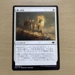 MTG 儚い存在 1枚