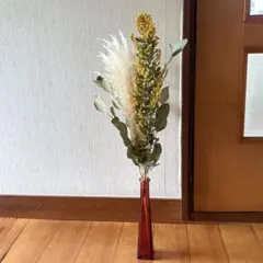 【特価】ミモザ パンパスグラス ユーカリ 枝 4点セット【3】＊ ドライフラワー