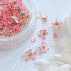 Junjun様 リクエスト 3点 まとめ商品