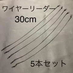 Item thumbnail for item acef18f1-981d-4393-add6-dd730e4080e9