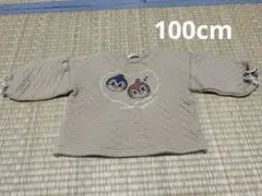 アンパンマントレーナー 100cm ドキンちゃん コキンちゃん