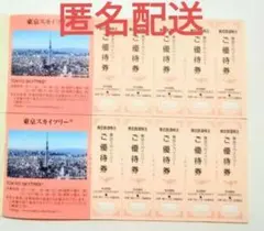 東武 スカイツリー ご優待券 10枚 優待