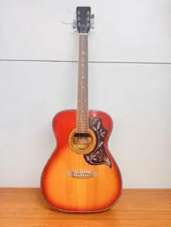 Reed Man RM-501 エレアコ アコースティックギター - メルカリ