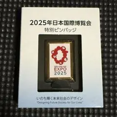 万博 非売品あり！ピンズセット 万博 ミャクミャク ピンズフレームセット ピンバッジ 万博
