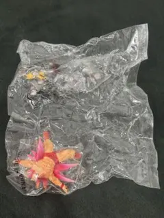 Item thumbnail for item 448a666d-86ea-48fb-8d41-4982a5a55a74