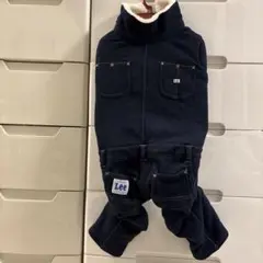 Item thumbnail for item 272fff1e-d733-49e6-9785-74b35725d068