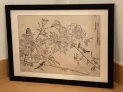 写真集 近江 木と石と水の国 写真 牧直視・文 白洲正子 駸々堂出版