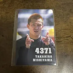 Item thumbnail for item 7f016575-2b2c-4c3c-93bf-cbd788330bc5