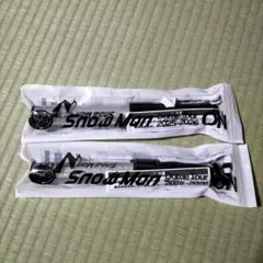 Snow Man Dome Tour 2025-2026 ペンライト 2本セット