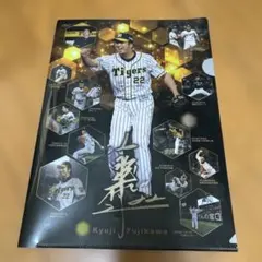 2025年最新】藤川球児クリアファイルの人気アイテム - メルカリ