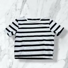 ZARA ストライプ 半袖Tシャツ Mサイズ
