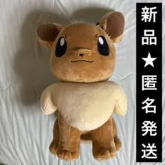 【新品】ポケットモンスター　めちゃもふぐっとぬいぐるみ　イーブイ
