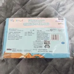 【新品・未使用】ポケットモンスター プレミアムサマー ブランケット