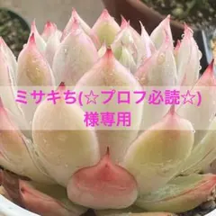 ミサキち(☆プロフ必読☆)様専用