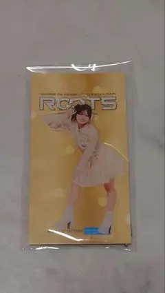 川名凜　グッズまとめ売り　バラ売り不可 川名凜 グッズまとめ売り バラ売り不可 川名凜 グッズまとめ売り バラ