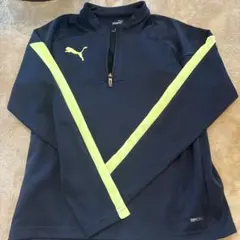 Item thumbnail for item f1198017-d2f5-463f-b74c-205590128412