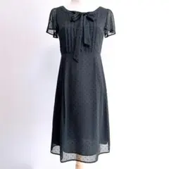 【クリアインプレッション】 フロッキー ドット シアー シフォン ワンピース 1のサムネイル