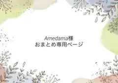 Amedama様 リクエスト 3点 まとめ商品