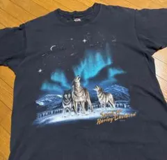 Item thumbnail for item 2cbd5e8b-d575-435b-a736-fe50b908fe26