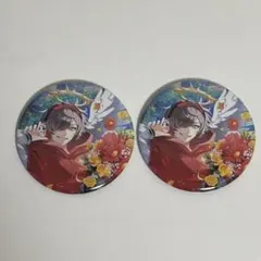 CrazyRaccoon だるまいずごっど バースデイグッズ 缶バッジ 2点