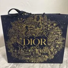 Dior ショッピングバッグ 大きめ